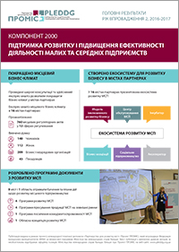 Year_2_reporting_PLEDDG_apr2017_UKR