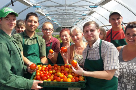 Greenhouse Business Employs Young People with Disabilities in Dorozhne village