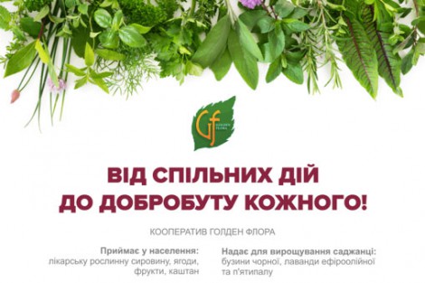 Ladyzhyn Conducts Online Training on Harvesting Medicinal Plants